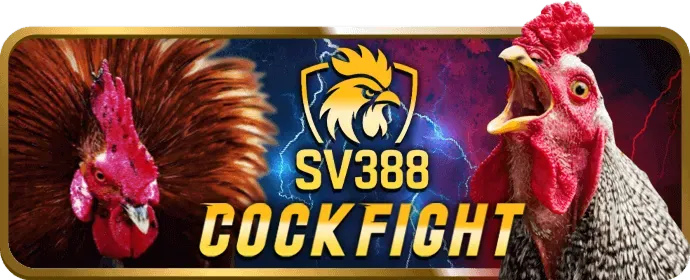 Khu vực câu hỏi thường gặp về v999 code