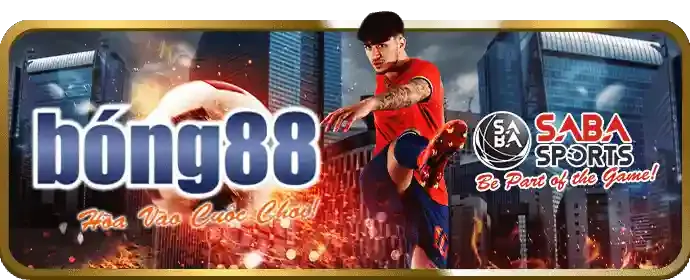 Sự kiện và giải đấu VIP